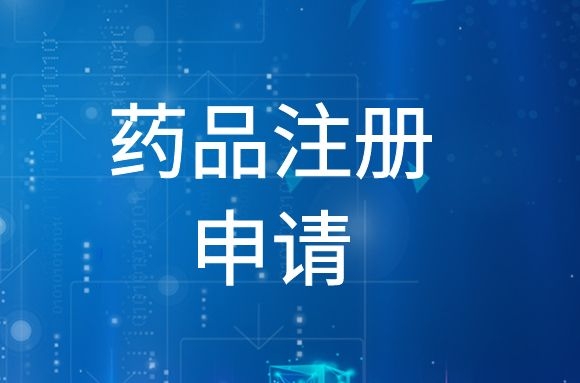 药品注册申请