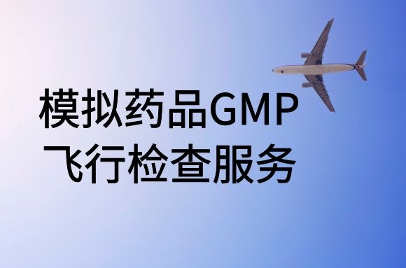 模拟药品GMP飞行检查服务