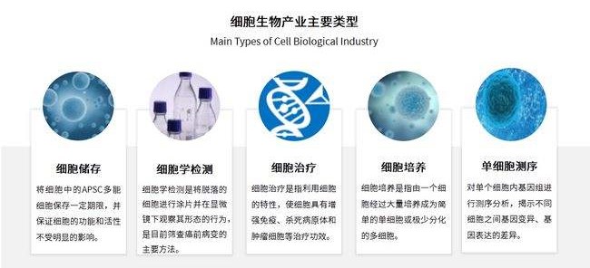 细胞生物产业主要类型